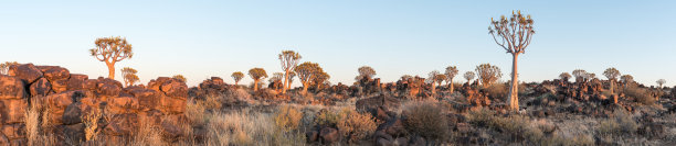 namibia