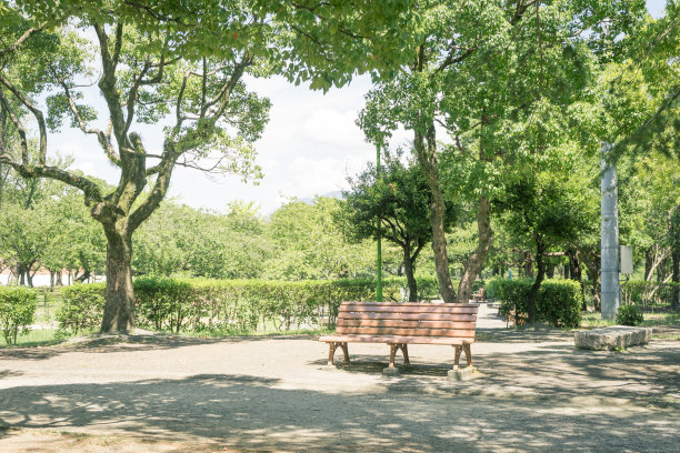 公园的长凳子