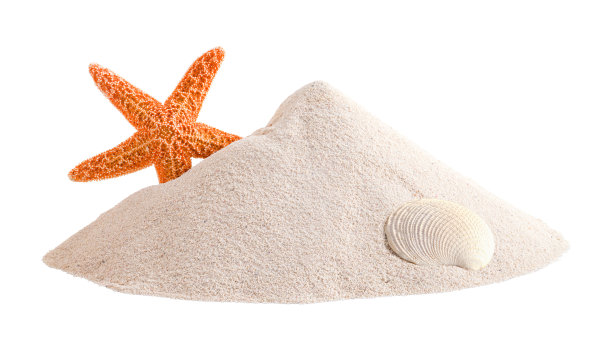 shells