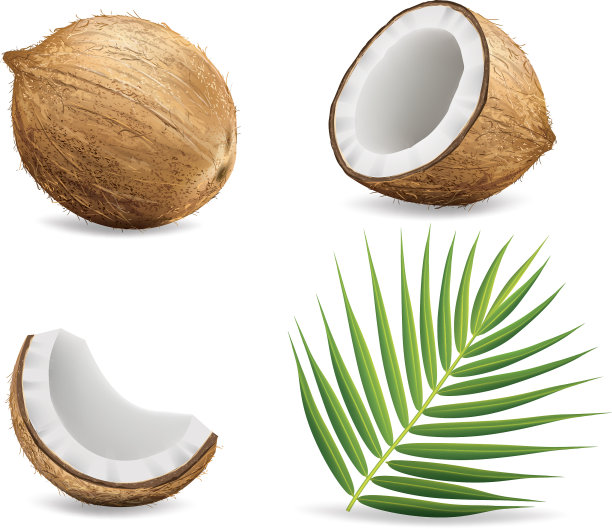 coconut