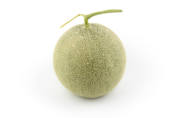 cantaloupe