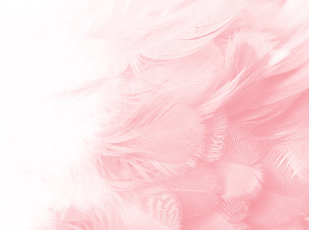 feather