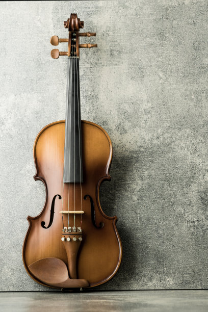 violin
