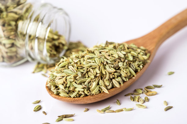 fennel