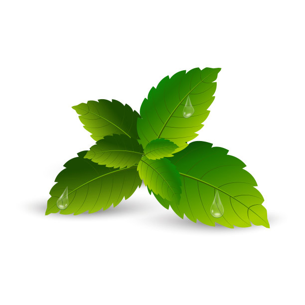 spearmint