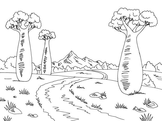 baobab
