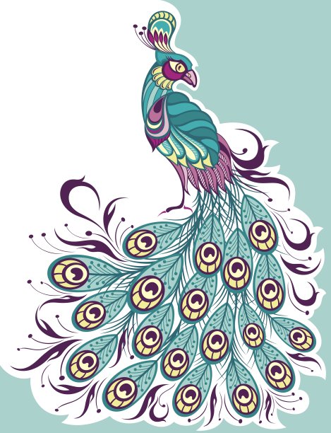 peacock