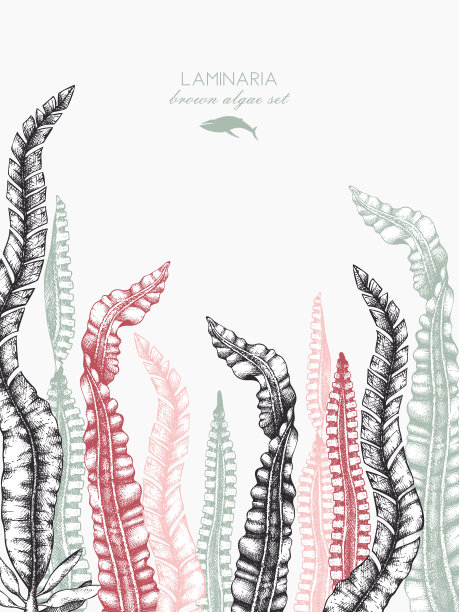 corals