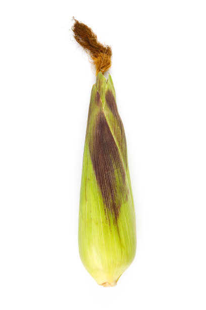 韭菜串