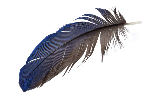 feather