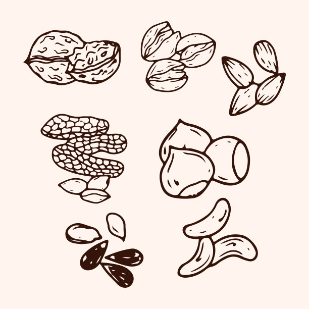 绘画插图,烤咖啡豆,坚果