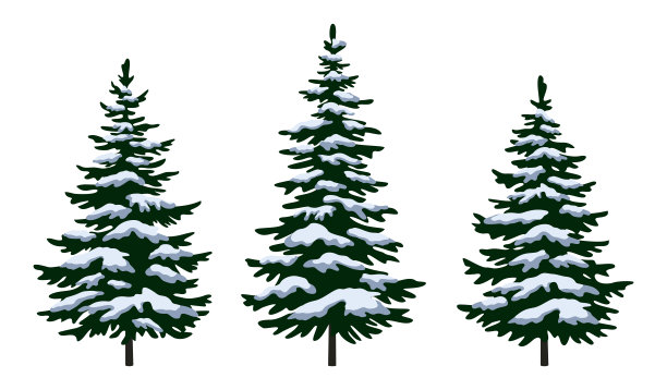 fir