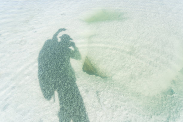 青海湖风光