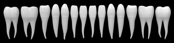 teeth
