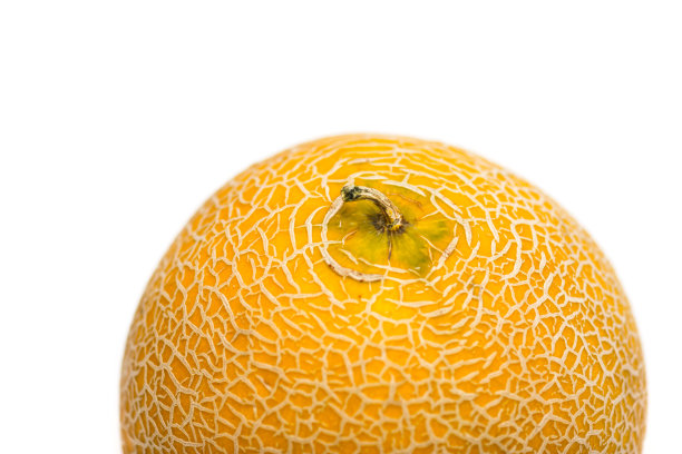 cantaloupe