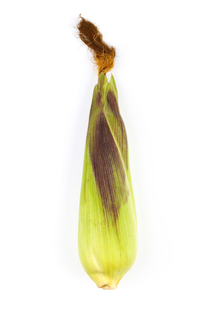韭菜串