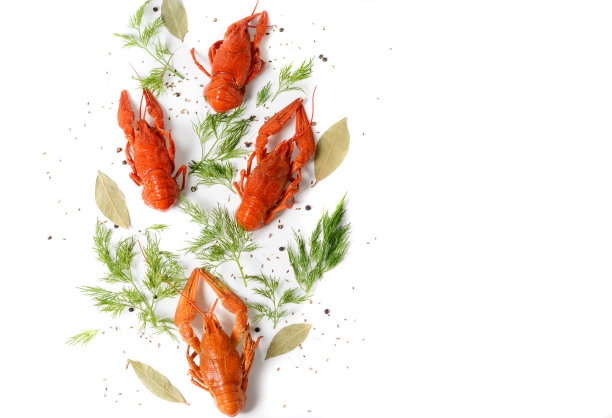 crayfish