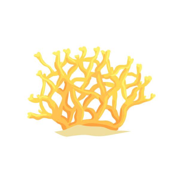 corals