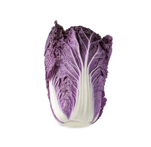 紫色大白菜