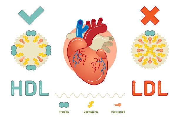 cholesterol
