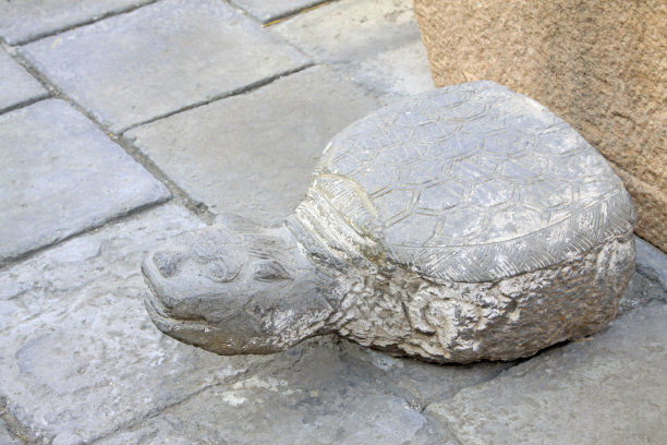 乌龟造型