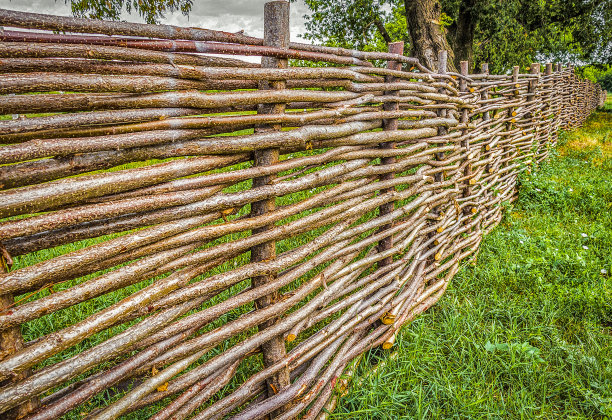 fence