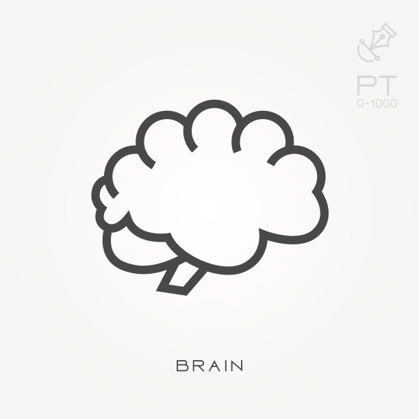 brain