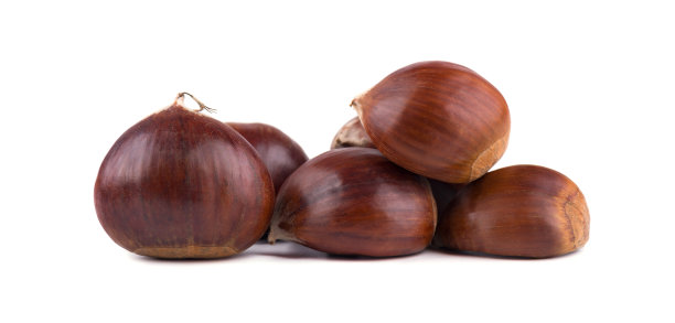 chestnut