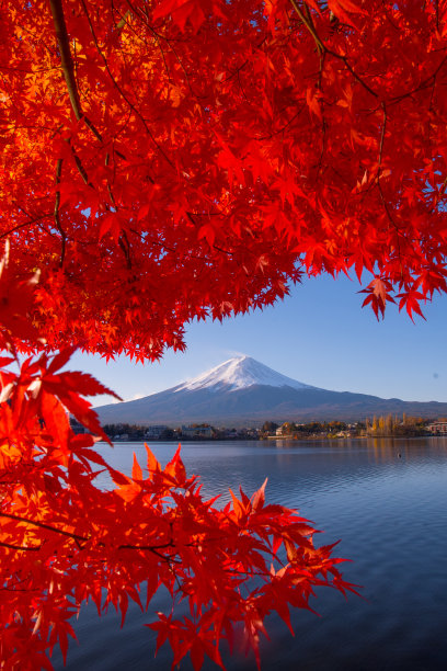 富士山文化