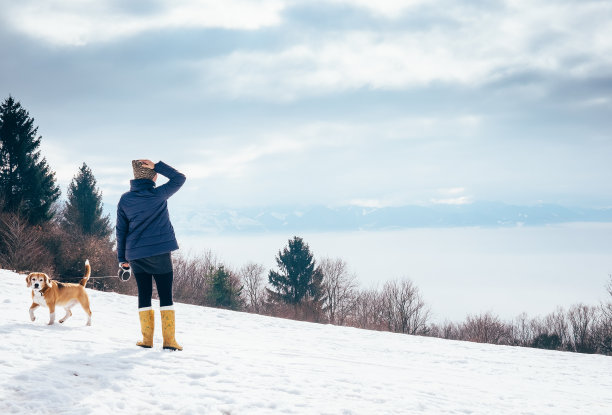 snowfall