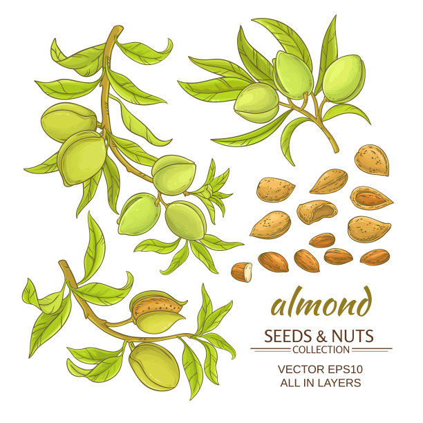 almonds