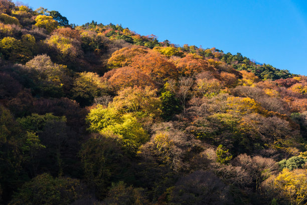 日本富士山图片