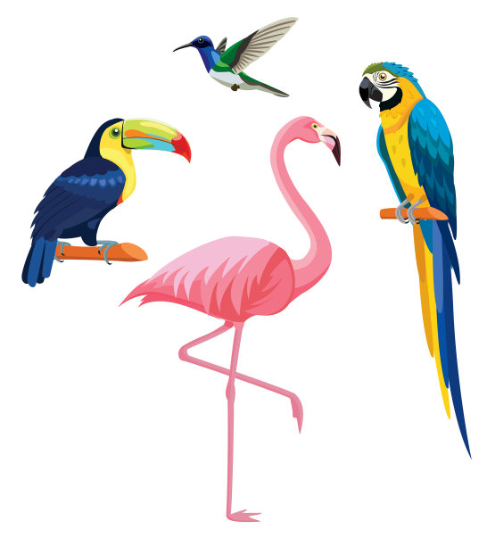flamingo