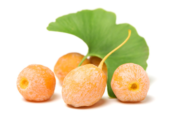 银杏树果实