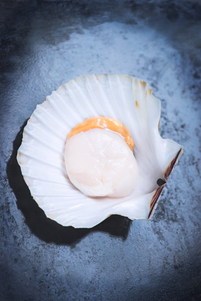 mussels