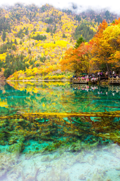四川九寨沟秋冬景色