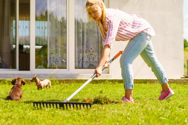 rake