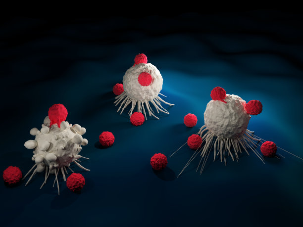 cd4