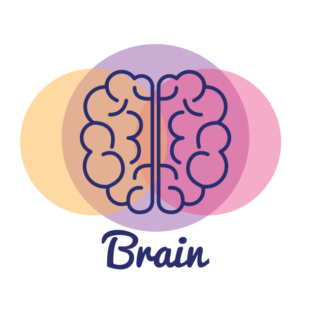 brain