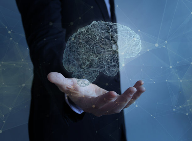 brain