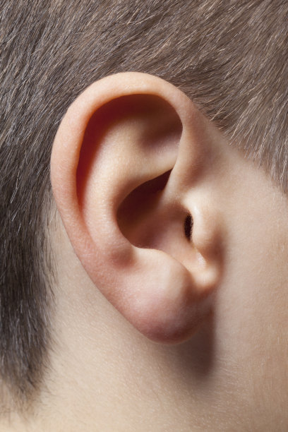 ear