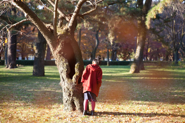 京都御苑