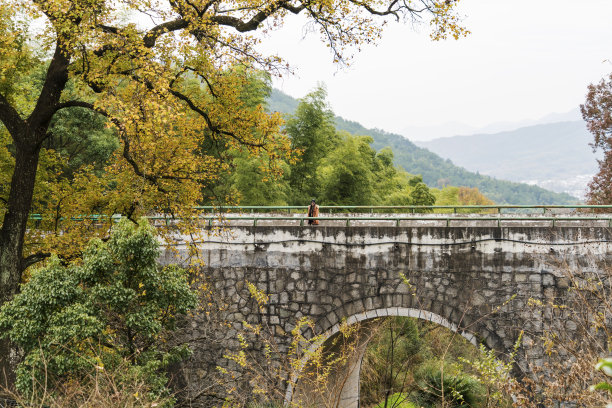 山间大桥