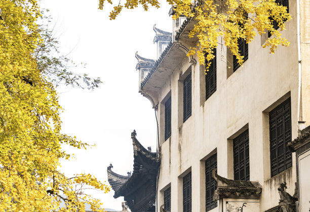 天空与银杏叶的背景图案