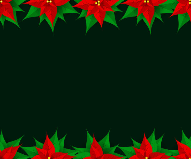 圣诞植物一品红边框背景