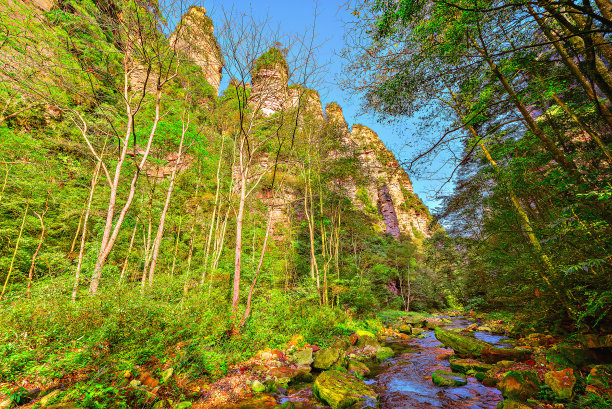 山间小溪山涧溪流