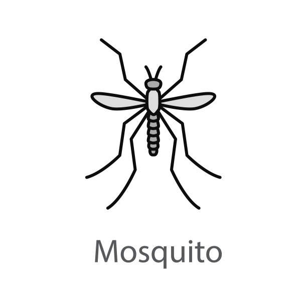 mosquito