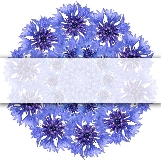 蓝白几何花朵无缝图案