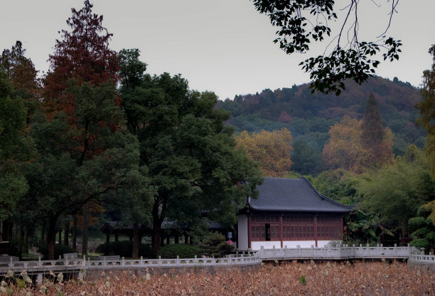 陆家嘴秋景