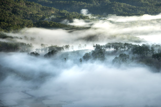 dalat
